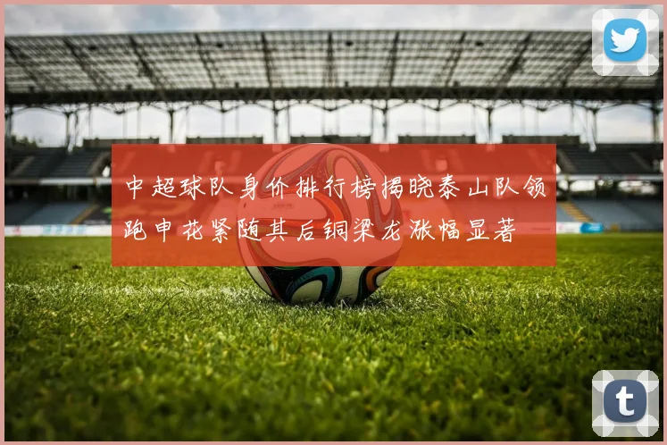 中超球队身价排行榜揭晓泰山队领跑申花紧随其后铜梁龙涨幅显著
